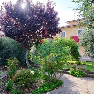 Olioealloro San Vincenzo